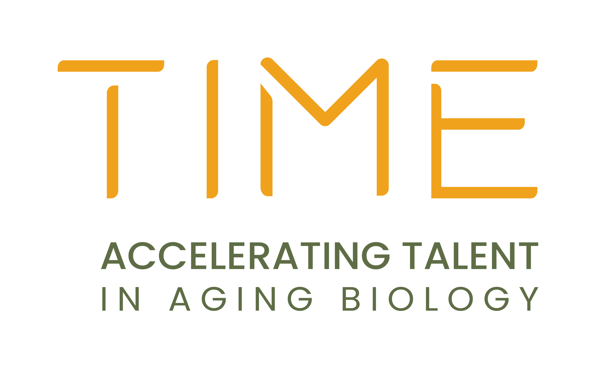 Time Initiative Logo